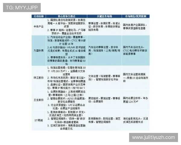 三亿体育在体育赛事版权运营中的策略分析与市场竞争优势